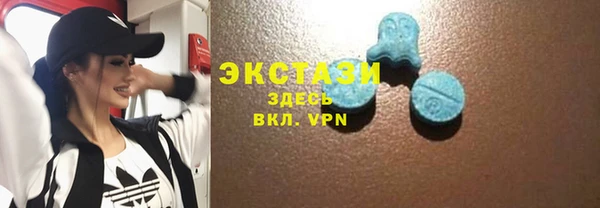 индика Киреевск