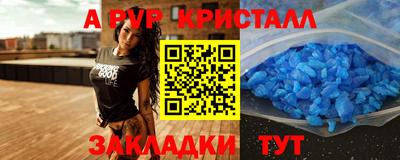 a pvp Камышлов