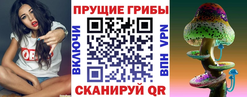 где продают   Кольчугино  Галлюциногенные грибы ЛСД 
