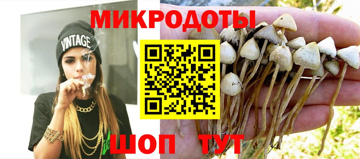 Галлюциногенные грибы MAGIC MUSHROOMS  купить  сайты  Кольчугино  Вход с VPN 