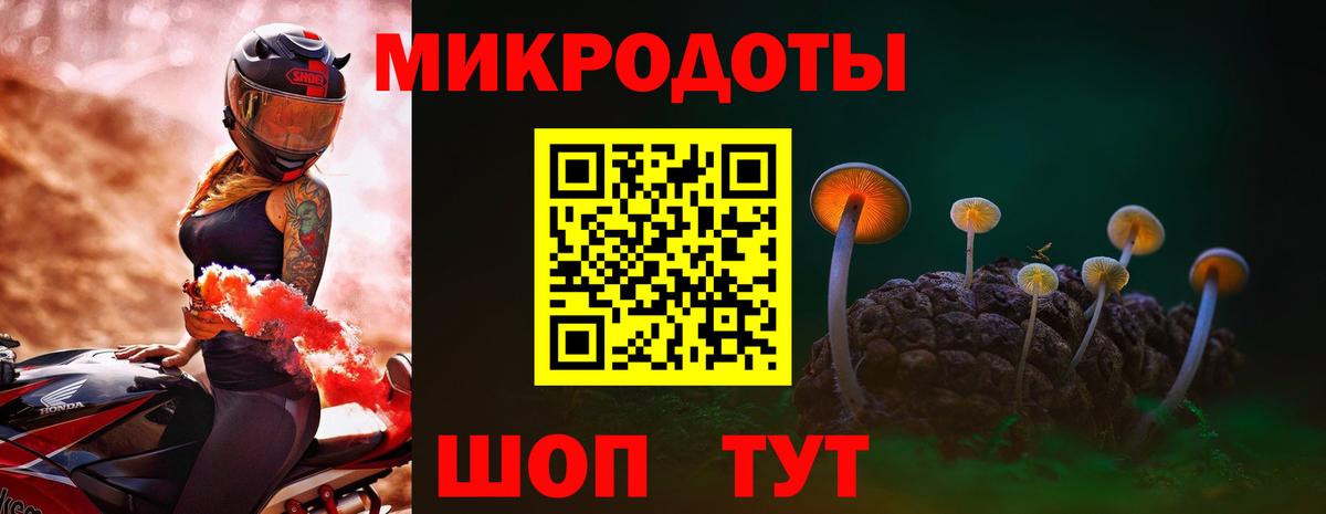 Галлюциногенные грибы прущие грибы Кольчугино